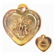 Medalha Pet Para Cães E Gatos São Francisco De Assis Foto mini 1
