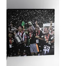 Medalhão Campeão Libertadores 2013 Atlético Mineiro Foto mini 3