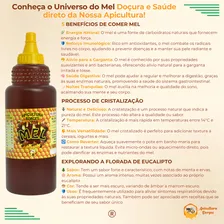 Mel Apicultura Borges De Abelha 100% Natural 1kg Florada Eucalipto Foto mini 2