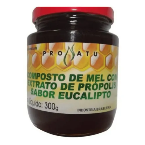Mel Com Propolis E Eucalipto 300g Foto 1