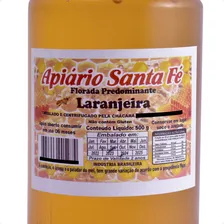 Mel Da Florada Laranjeira Puro De Abelha Bisnaga 500 Gramas Foto mini 3