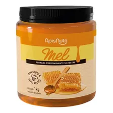 Mel Em Pote Com 1kg Apisnutri Foto  mini 1