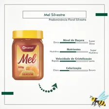 Mel Florada Silvestre Minamel Pote 500g Foto mini 3