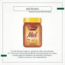 Mel Florada Silvestre Minamel Pote 500g Foto mini 2