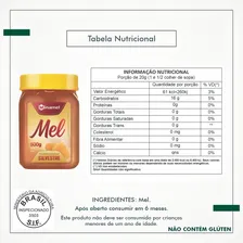 Mel Florada Silvestre Minamel Pote 500g Foto mini 4