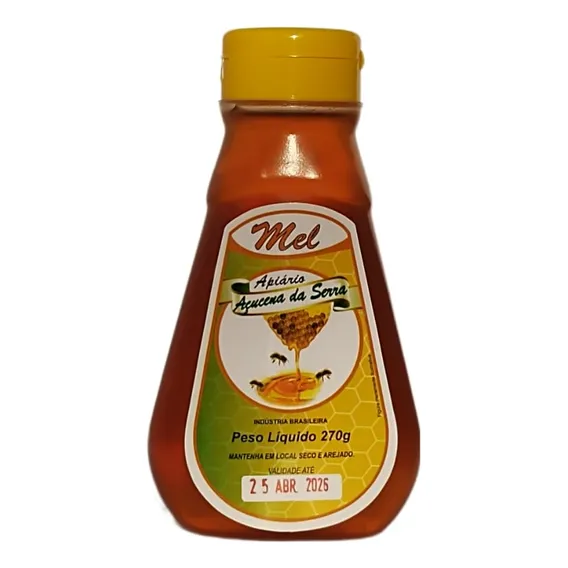 Mel Puro De Abelha Silvestre Bisnaga 270g Foto 1