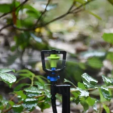 Micro Aspersor Bailarina Com Haste E Microtubo 10 Unidades Foto mini 4