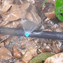 Microaspersor Implebrás Azul Vazão 20 Lts/hora - 1.000 Unid Foto mini 4
