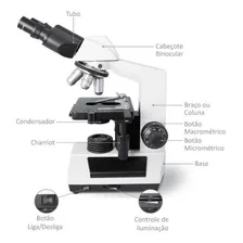 Microscópio Binocular Acromático Led Profissional Foto mini 4