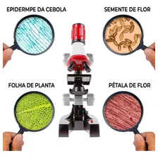 Microsc贸pio Educacional Monocular Biologia Stem 100x 400x 1200x Cor Branco-vermelho-preto Foto mini 4
