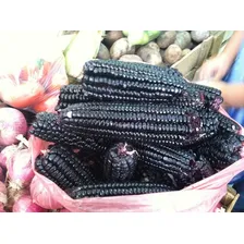 Milho Roxo Peruano - 30 Sementes Para Mudas - Preto Inca Foto mini 3