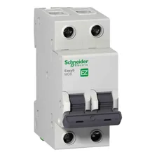 Mini Disjuntor Bipolar 20a Ez9f33220 Schneider Foto mini 1