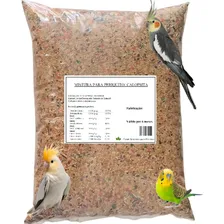 Mistura Calopsita Periquito Nutritiva1kg Sementes Passaro Foto mini 1