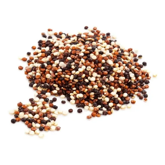 Mix De Quinua Quinoa Grãos Wenutri 500g Foto 1