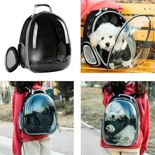 Mochila Bolsa Pet Visão Panorâmica Astronauta Cachorro Gato Foto mini  2
