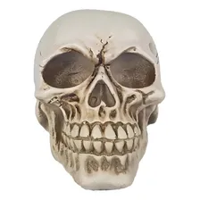 Modelo Do Corpo Humano Cranio 4d Foto mini 1