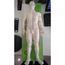 Modelo Humano Acupuntura Pontos Meridianos Boneco 50 Cm Foto mini 4