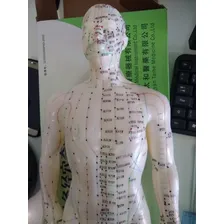 Modelo Humano Acupuntura Pontos Meridianos Boneco 50 Cm Foto mini  3
