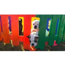 M贸dulo Avulso Para Cercadinho Pet Freso Foto mini 2