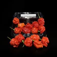 Molho De Pimenta Trinidad Scorpion Moruga Extra Forte 1l Foto mini  2