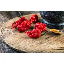 Molho Pimenta + Ardida Do Mundo Carolina Reaper Fogo Mineiro Foto mini  3