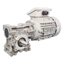 Moto Redutor Motor 0,25cv Eixo Maciço 170rpm Trif 220/380v Foto mini 1