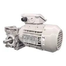Moto Redutor Motor 0,25cv Eixo Maciço 170rpm Trif 220/380v Foto mini 3