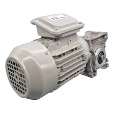 Moto Redutor Motor 0,25cv Eixo Maciço 170rpm Trif 220/380v Foto mini 2