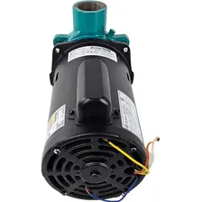 Motobomba Centrífuga 2cv Monofásica Ecs-200ma Eletroplas Cor Azul-turquesa 110V/220V Foto mini  3
