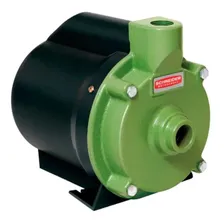 Motobomba Centrífuga Bcr-2000 1/3cv 127v Schneider Foto  mini 1
