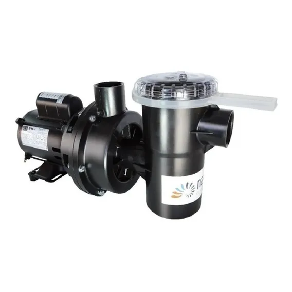Motobomba Nautilus Nbfc0 1/4 Cv Para Piscinas 127/220V Foto 1