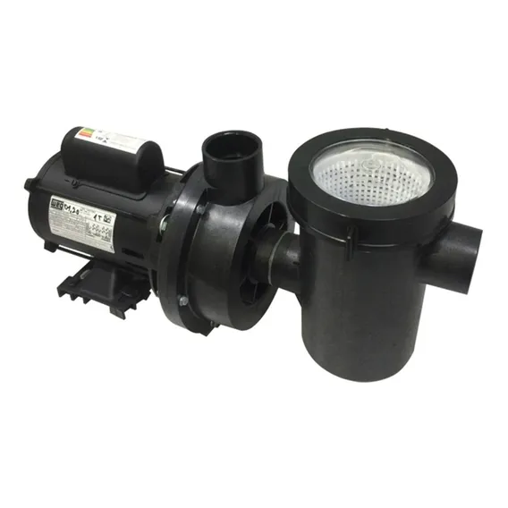 Motobomba Weg Para Piscina 1/3 Cv Com Pré Filtro Acf 220V Foto 1