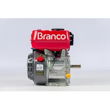Motor A Gasolina Branco Foto mini 3