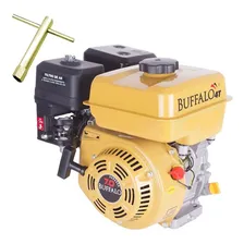 Motor Barco Buffalo 7 Hp - 4t Popa + Rabeta Completa 1.70mt Foto mini 2