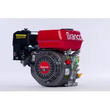 Motor Branco B4tempos 7.5 Hp. Manual 224cc Foto mini 2