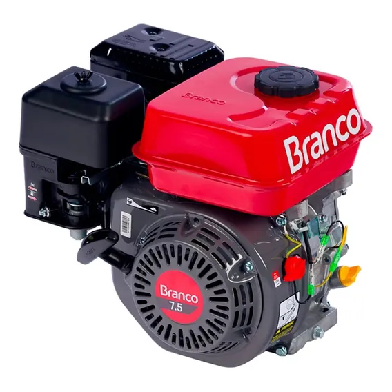 Motor Branco B4tempos 7.5 Hp. Manual 224cc Foto 1