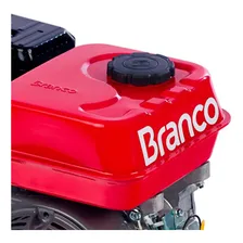 Motor Branco B4tempos 7.5 Hp. Manual 224cc Foto mini 3