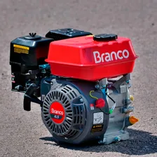 Motor Branco À Gasolina Partida Manual B4t 6,5cv Foto mini 4