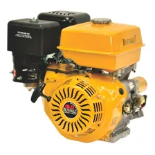 Motor Buffalo Gasolina Bfg 4t 15cv Partida Manual Foto  mini 1