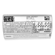 Motor Elétrico Weg Para Bomba Piscina 1cv Mono 110/220v Inox Foto mini  2