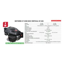 Motor Estacionário Gasolina Eixo Longo Gv600 6hp Kawashima Foto mini  3