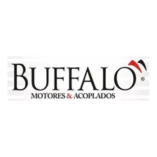 Motor Gasolina Bfg 13.0cv Com Partida Elétrica - Buffalo Foto mini 4