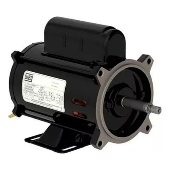 Motor Para Bomba De Piscina Igui 0,5cv 110/220v Weg 110V/220V Foto 1