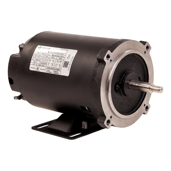 Motor Para Bomba Piscina 1/2cv 3500rpm 127/220v Foto 1