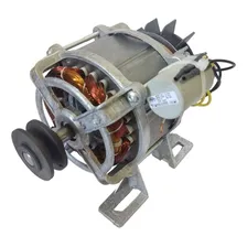 Motor Para Tanquinho Cimento Lave Mais Suave Até 20kg 127v 110v Foto  mini 1