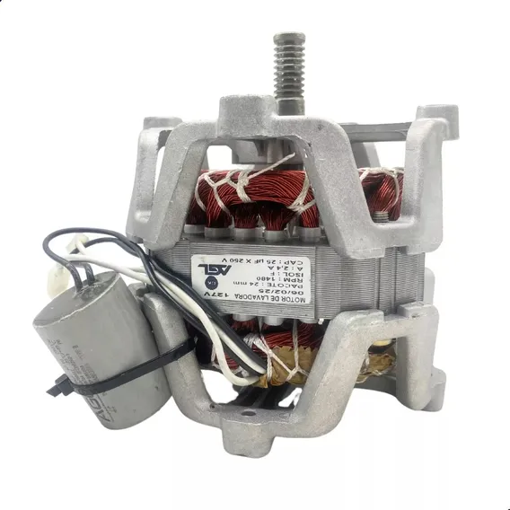 Motor Para Tanquinho Maq 10kg 12kg Polia Eixo 220v Foto 1