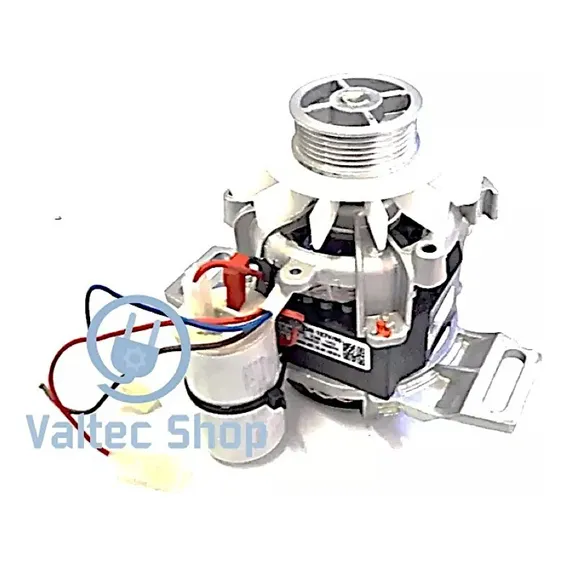 Motor Tanquinho Lavadora Mueller Class Action | 220v Origin Foto 1