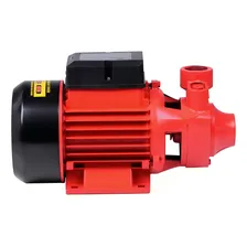 Motorbomba Periférica 1hp Worker 110/220v P/agua Foto mini 2