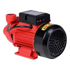 Motorbomba Periférica 1hp Worker 110/220v P/agua Foto mini 3