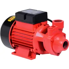 Motorbomba Periférica 1hp Worker 110/220v P/agua Foto mini 1